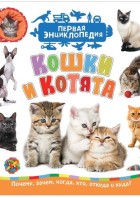 Кошки и котята. (Первая энциклопедия) РОСМЭН